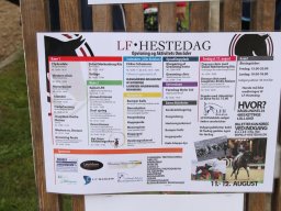 IMG_5095_web